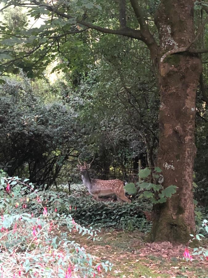 剑桥小屋住宿加早餐旅馆 奥林达 外观 照片