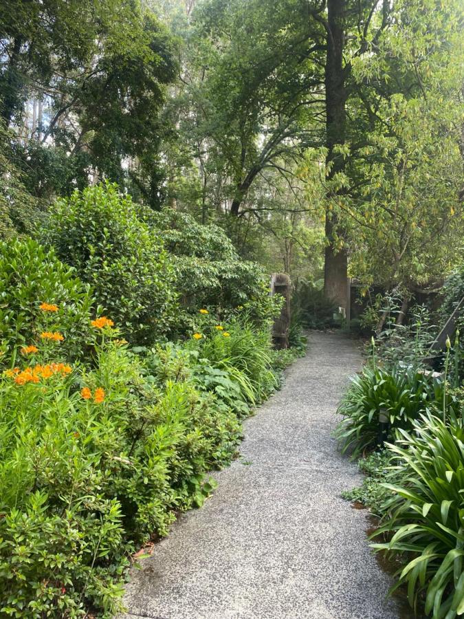 剑桥小屋住宿加早餐旅馆 奥林达 外观 照片